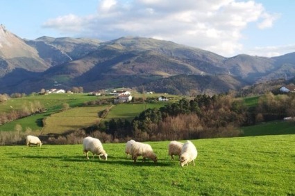 goierri turismo