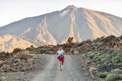 Evasion tv