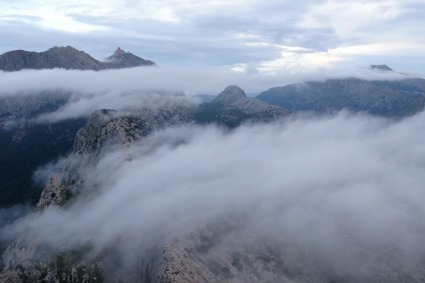 utmb