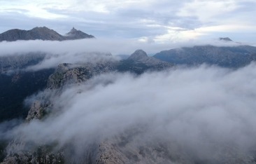 utmb