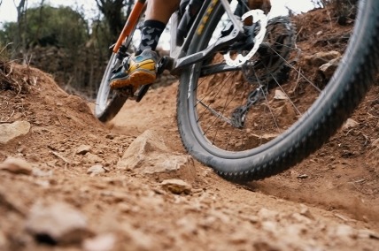 Gigante de piedra 2024