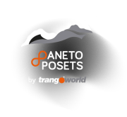 aneto posets